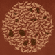 Illustration for article titled We Fed Cookies Made Out Of Bugs To Our Coworkers. Heres What Happened.